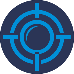 Strive Bedbug Removal