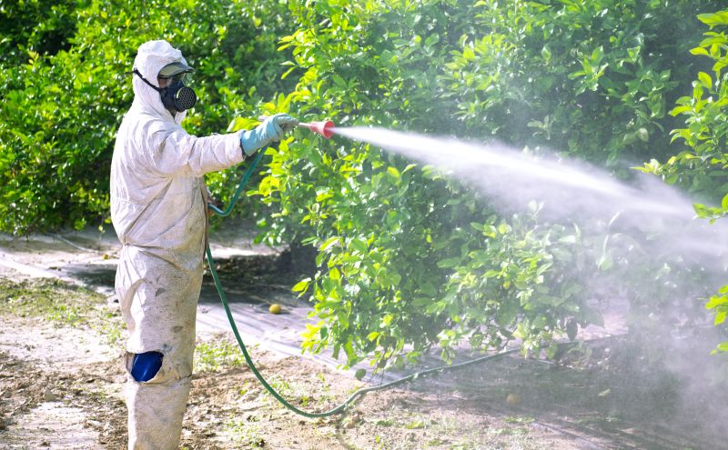 Pest Fumigation Service in Wilmington, DE
