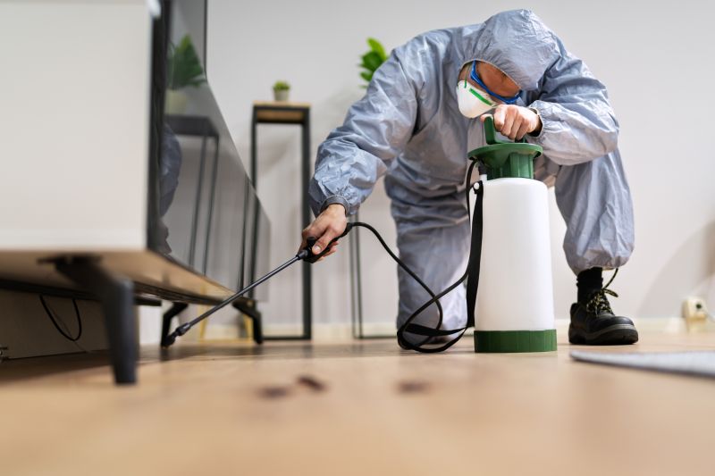 Spider Fumigation Service in Fort Myers, FL