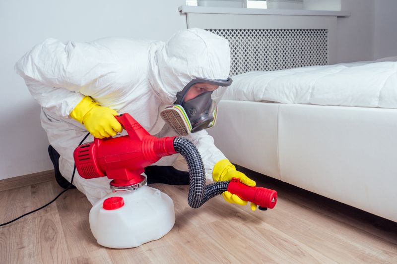 Bedbug Removal