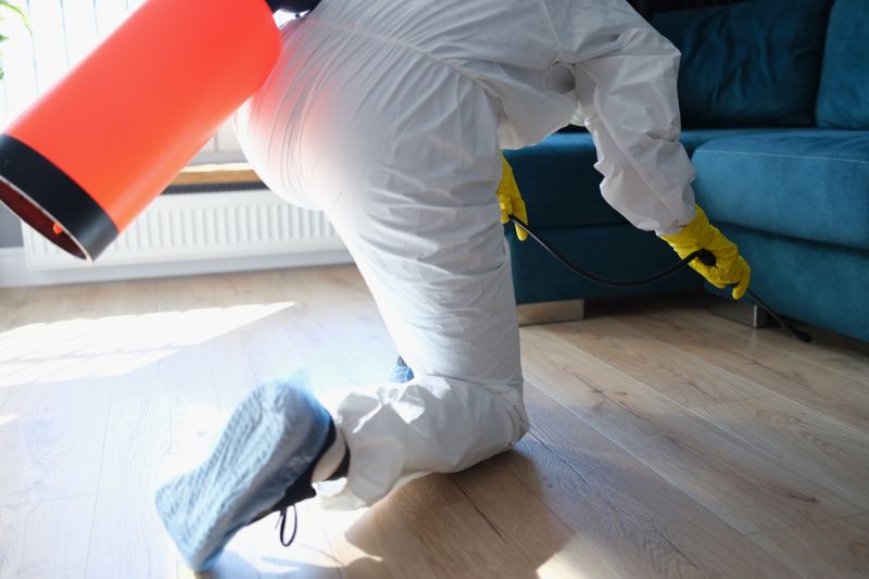Bug Removal Service in Frisco, TX