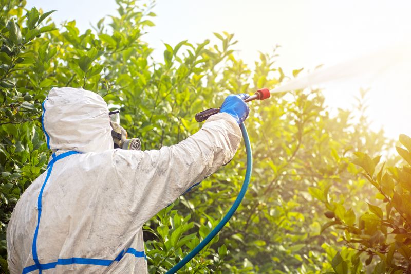 Commercial Fumigation in Phoenix, AZ