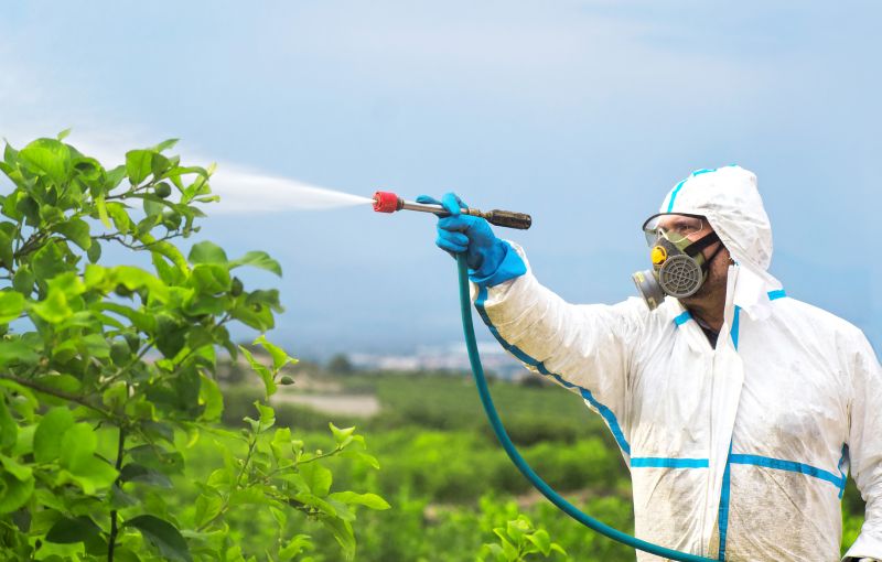 Fumigation Service in San Jose, CA