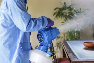 Fumigation Service in Tampa, FL